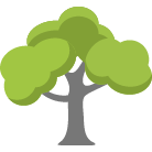 Walnut Creek Tree Removal Service