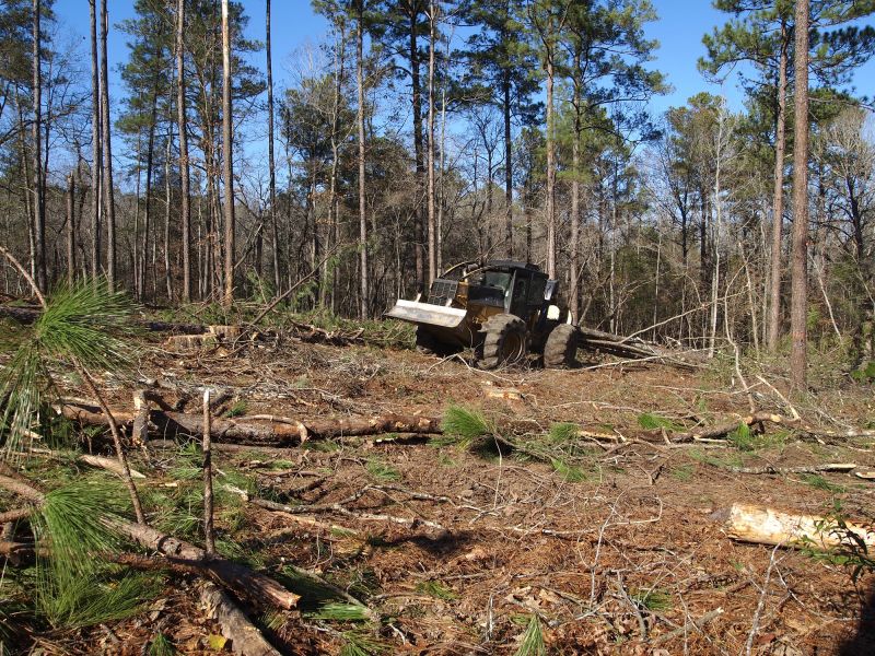 Tree Removal Equipment