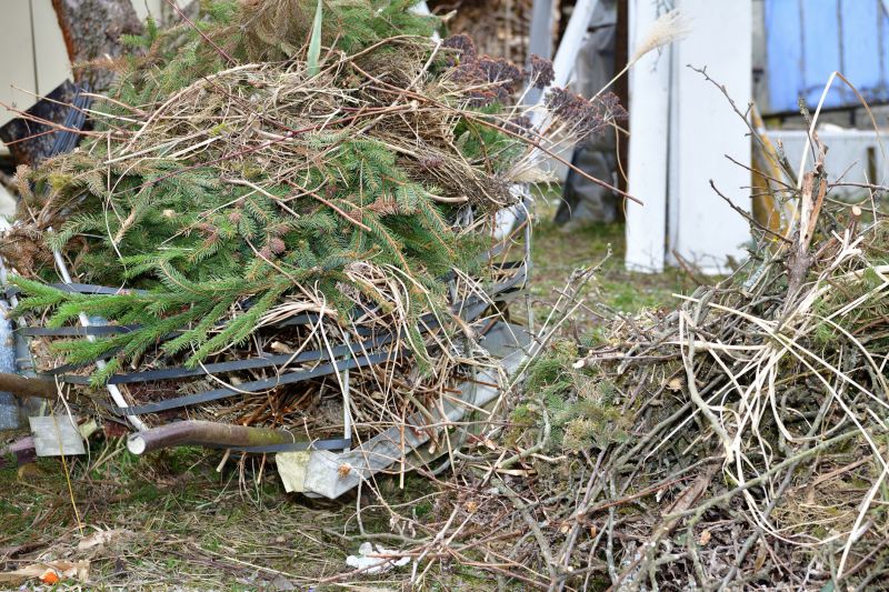 Clearing Debris