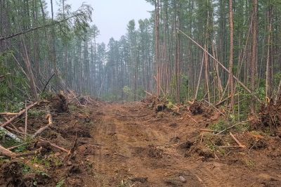 Clearing the Site