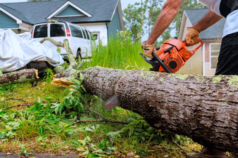 Equipment Used for Tree Removal