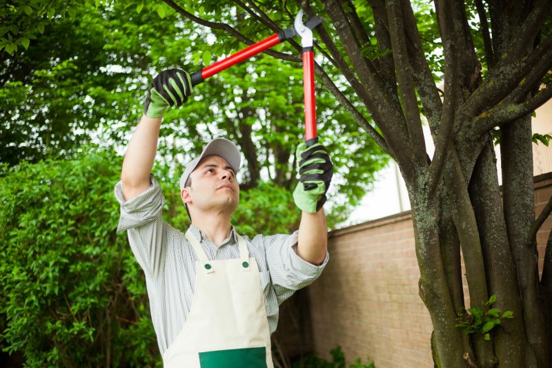 Certified Tree Care Specialists